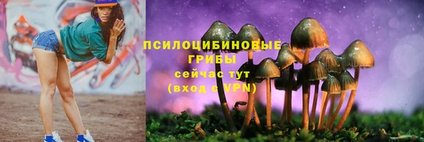 тгк Вяземский