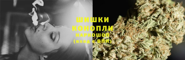 тгк Вяземский